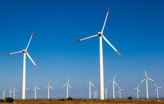 Op maat gemaakte ISO9001-gecertificeerde windgestookte generator voor milieuvriendelijke stroom