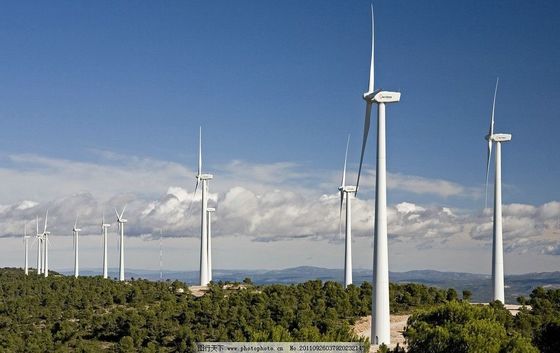 Op maat gemaakte ISO9001-gecertificeerde windgestookte generator voor milieuvriendelijke stroom