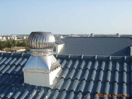 Op maat gemaakte roestvrijstalen dakventilator voor hoge temperatuurbestendige ventilatie