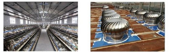 Wandmontage Industriële roestvrij staal 304 Wind aangedreven cirkel turbine ventilator