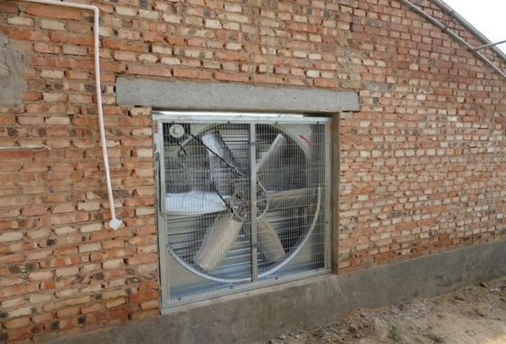 48 inch wand gemonteerde AC-extractor ventilator met Siemens Motor Silver kas ventilatie