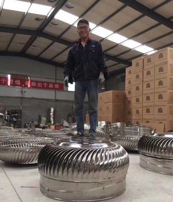 Op maat gemaakte windgedreven dakventilatie-turbine-uitlaatventilator voor optimale efficiëntie