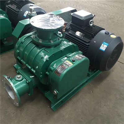 Verbeter uw productie met onze aangepaste Roots Blower Vacuümpomp