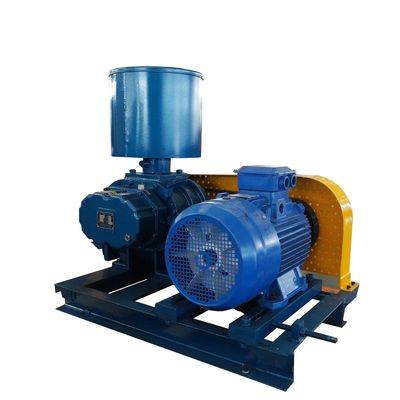 Verbeter uw productie met onze aangepaste Roots Blower Vacuümpomp