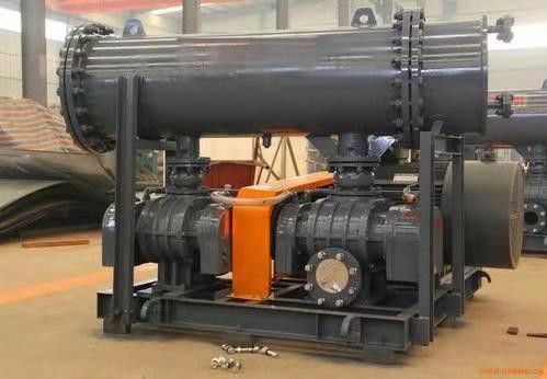 Verbeter uw productie met onze aangepaste Roots Blower Vacuümpomp