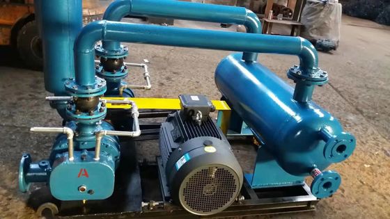 Verbeter uw productie met onze aangepaste Roots Blower Vacuümpomp